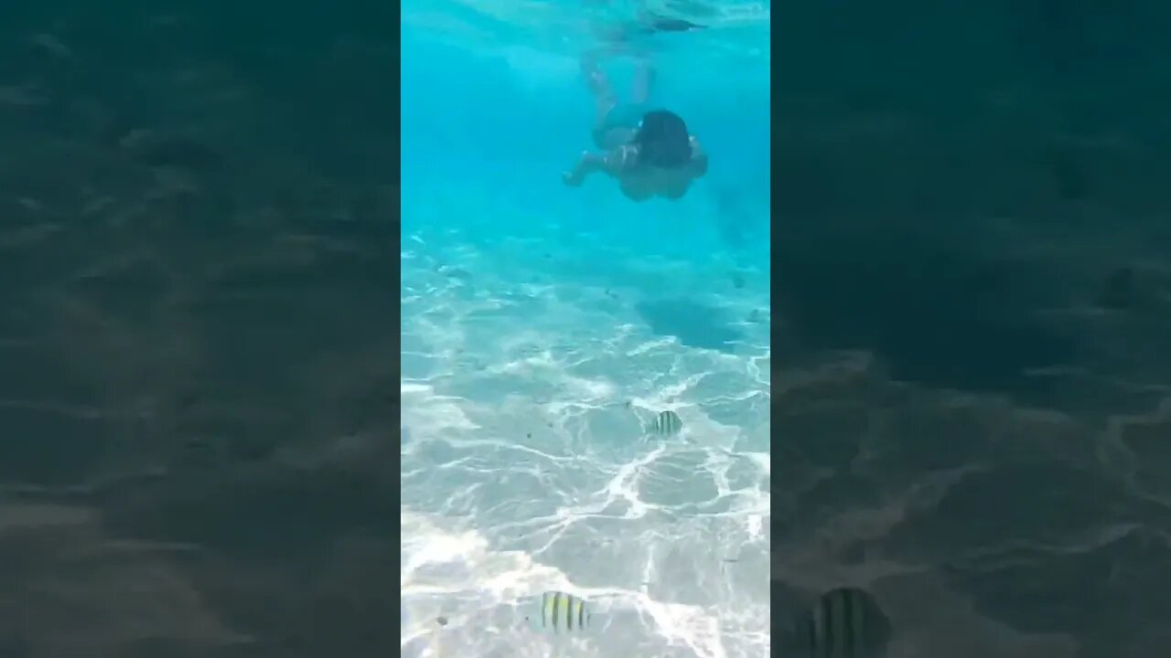Cayo Arena Republica Dominicana