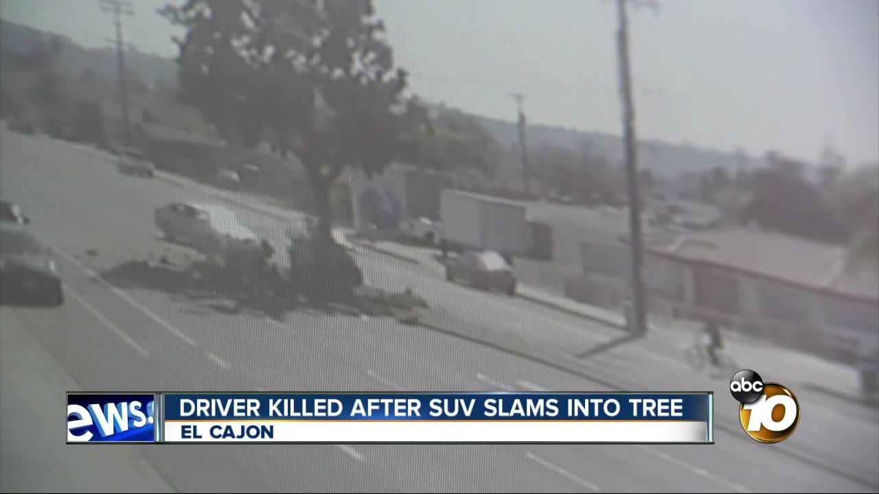 Driver killed in El Cajon after slamming into tree