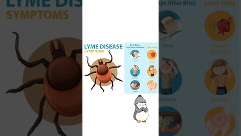 STAY CLEAN STAY SAFE FROM LYME DISEASE SYNDROME