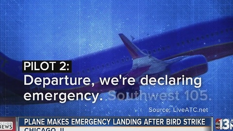 Bird strikes cause two planes to turn back to Illinois