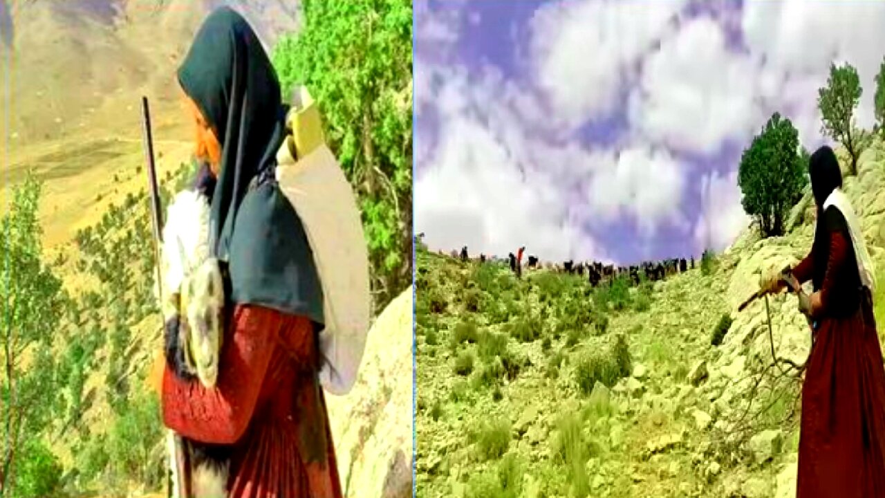 Amazing brave Nomadic woman attack on Thieves by herself in the Mountain