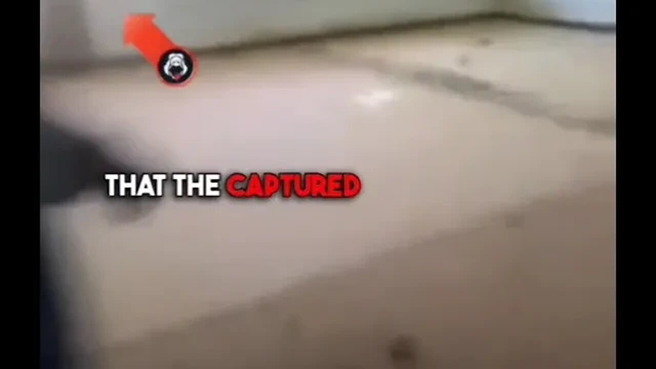 I dont know what to say!