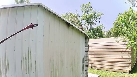 Removing a Hornet nest