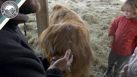 This Weaned "Bear" is Begging Me For Milk