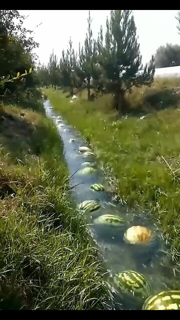 This guy is playing Minecraft in real life