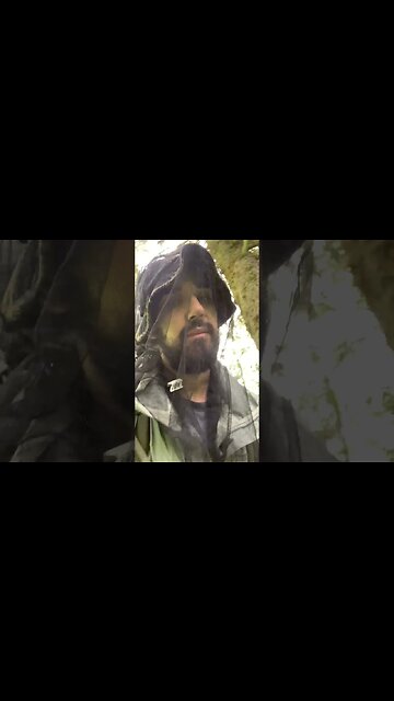 Day 4 Update: Mosquitos, slugs, and bears