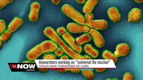 Researchers working on universal flu vaccine that could save thousands of lives