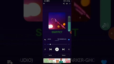 YSR PARKER-GHOST(SNIPPET)