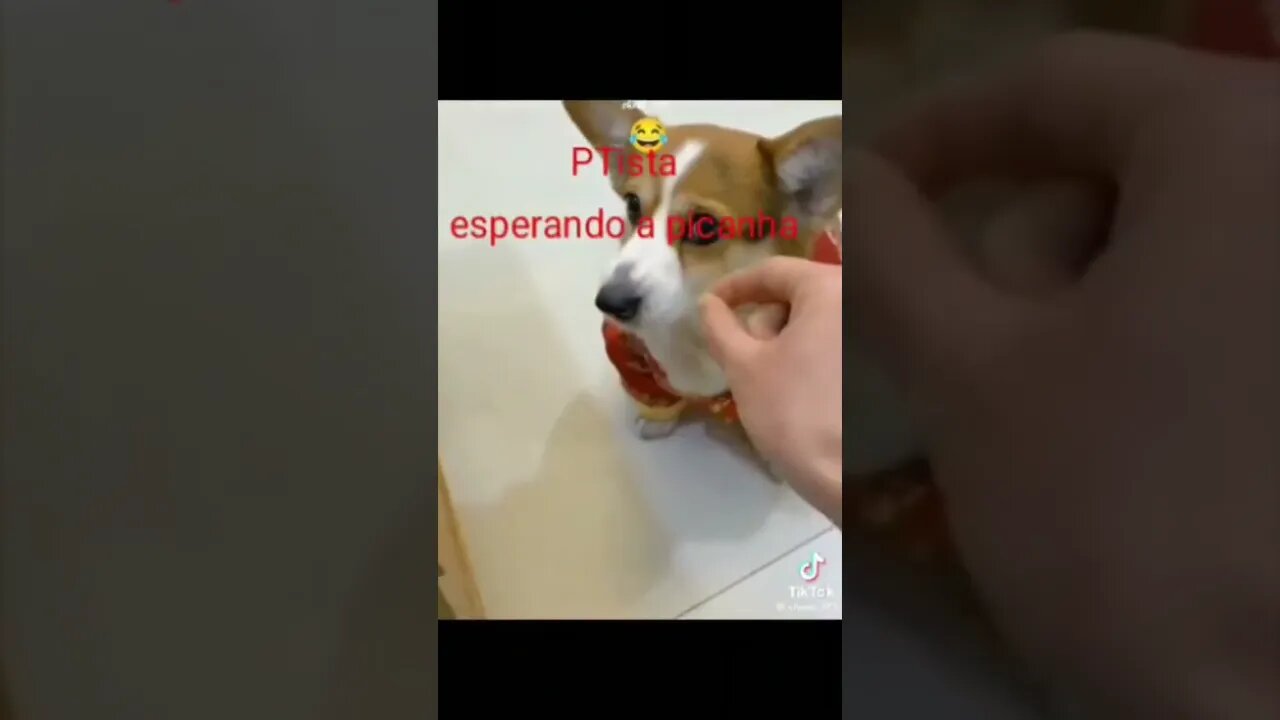Cenas exclusivas de um petista recebendo a picanha do Lula!