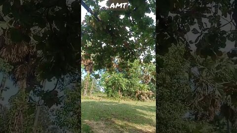 90s old song WhatsApp status