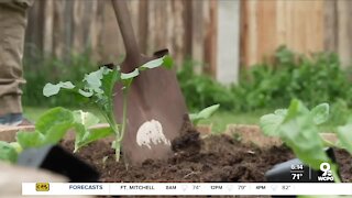 Findlay Market opens composting system to public