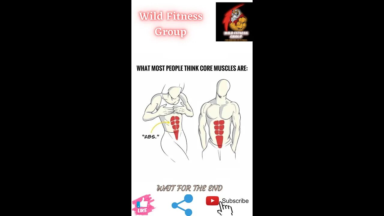 🔥What most people think core muscles are🔥#shorts🔥#viralshorts🔥#fitnessshorts🔥#wildfitnessgroup🔥