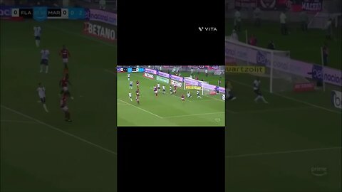 ATROPELOU FLAMENGO 8 X 2 MARINGÁ