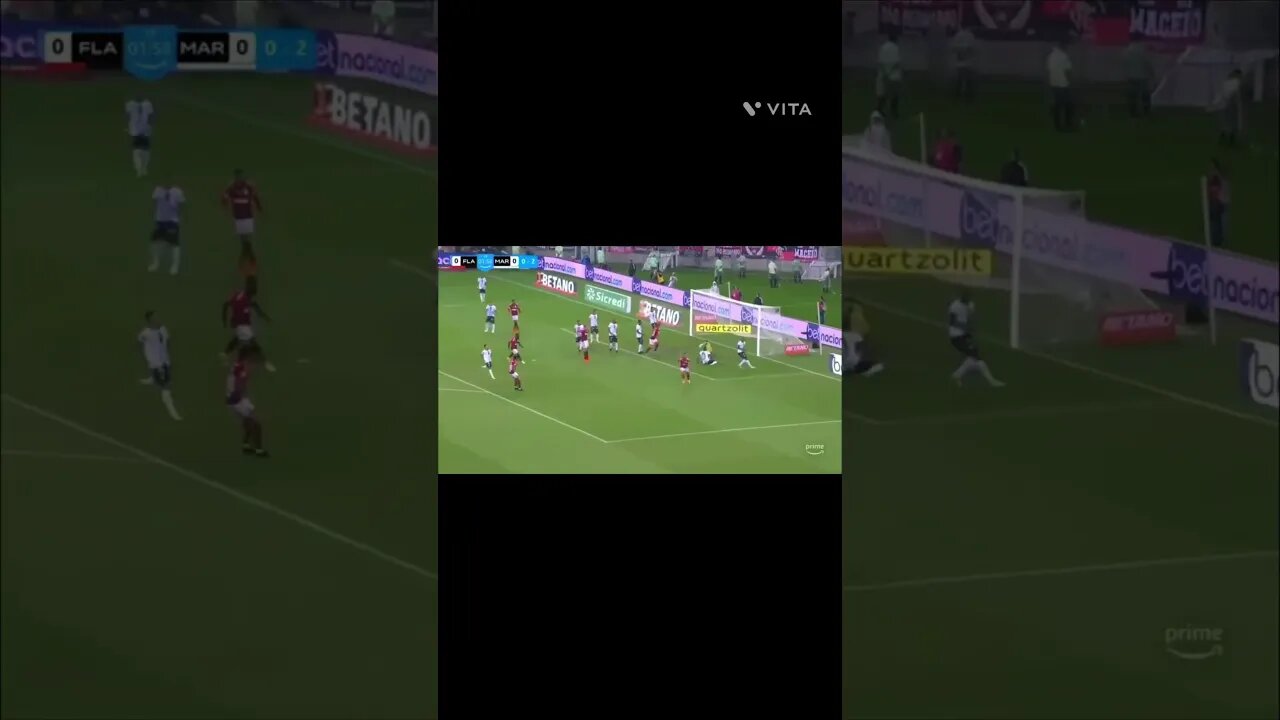 ATROPELOU FLAMENGO 8 X 2 MARINGÁ
