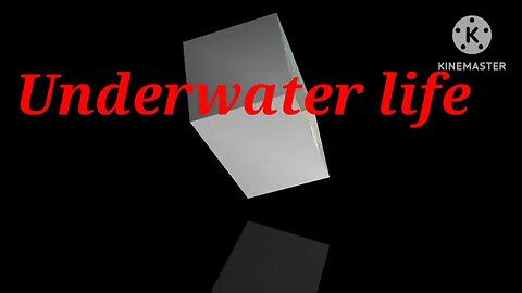 Underwater life 2023#nature