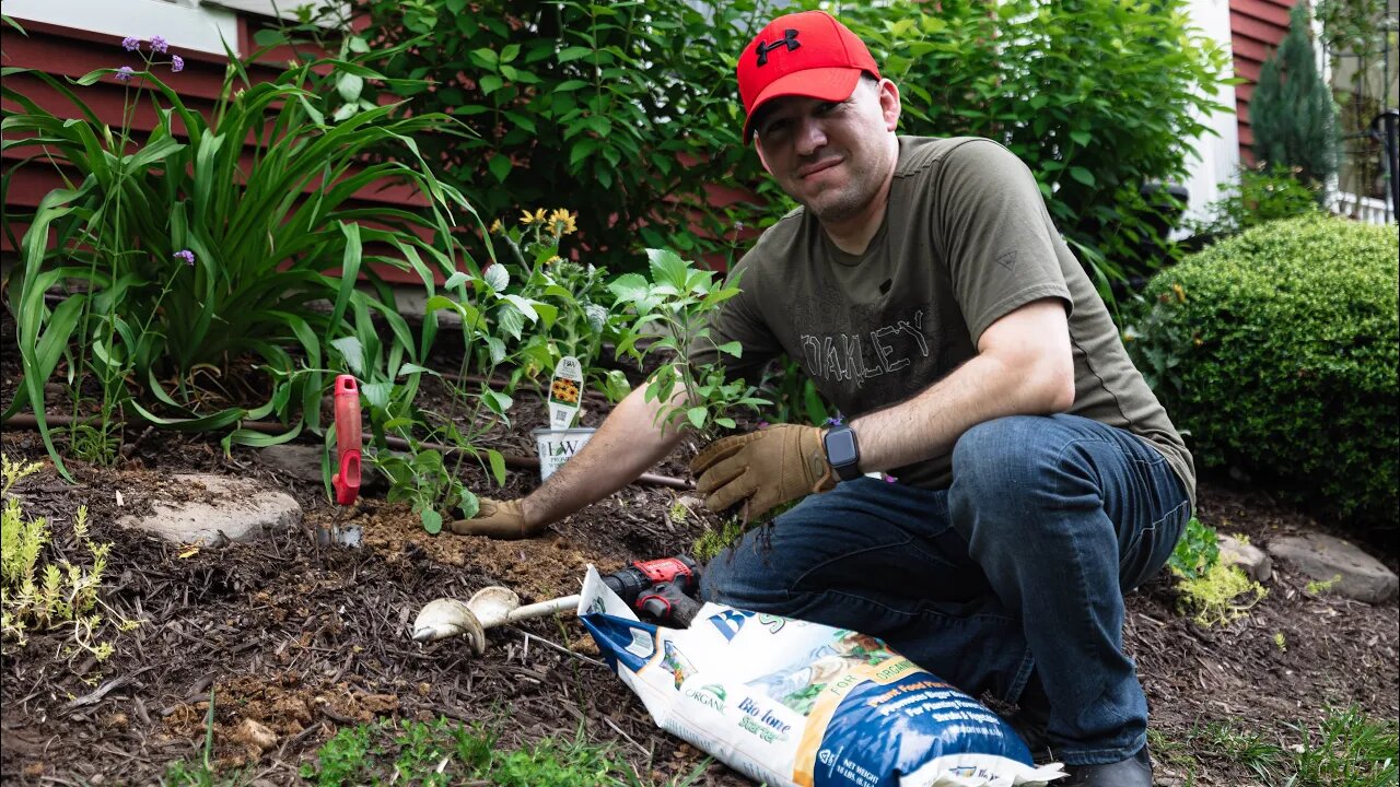 Transplanting Salvias with Espoma Biotone