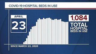 GRAPH: COVID-19 hospital beds in use as of April 23, 2020