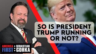 So is President Trump running or not? Sebastian Gorka on AMERICA First