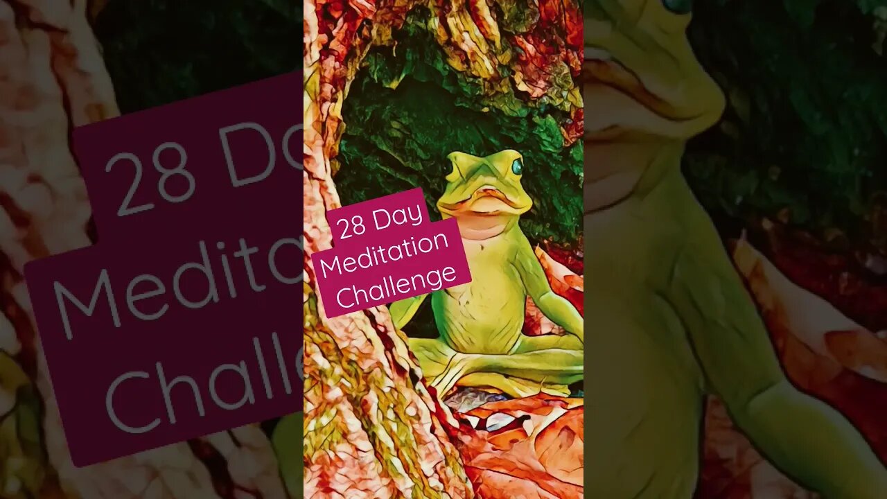 Powerful "Satisfaction Meditation" Challenge #lowkeymagickal #meditation #abundance #dailytarot