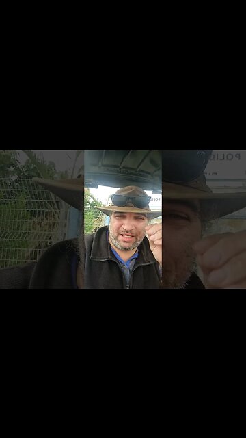 דור סרפוס, אתה משועמם! לך לחפש חיים, בן זוג, משהו...