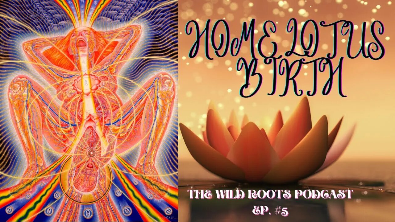 Lotus Birth- Episode 5 - The Wild Roots Podcast