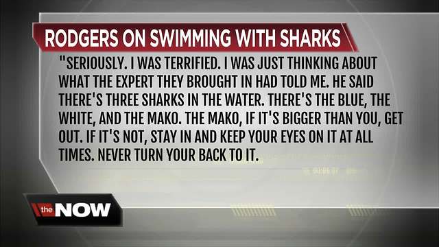 Today's Take: Swimming with the Sharks