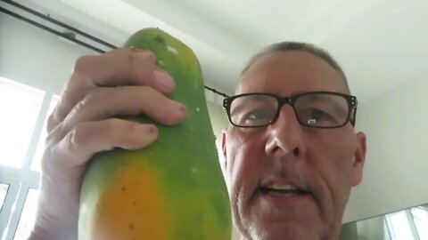 Picking and Eating Papaya While Talking About the State of the World