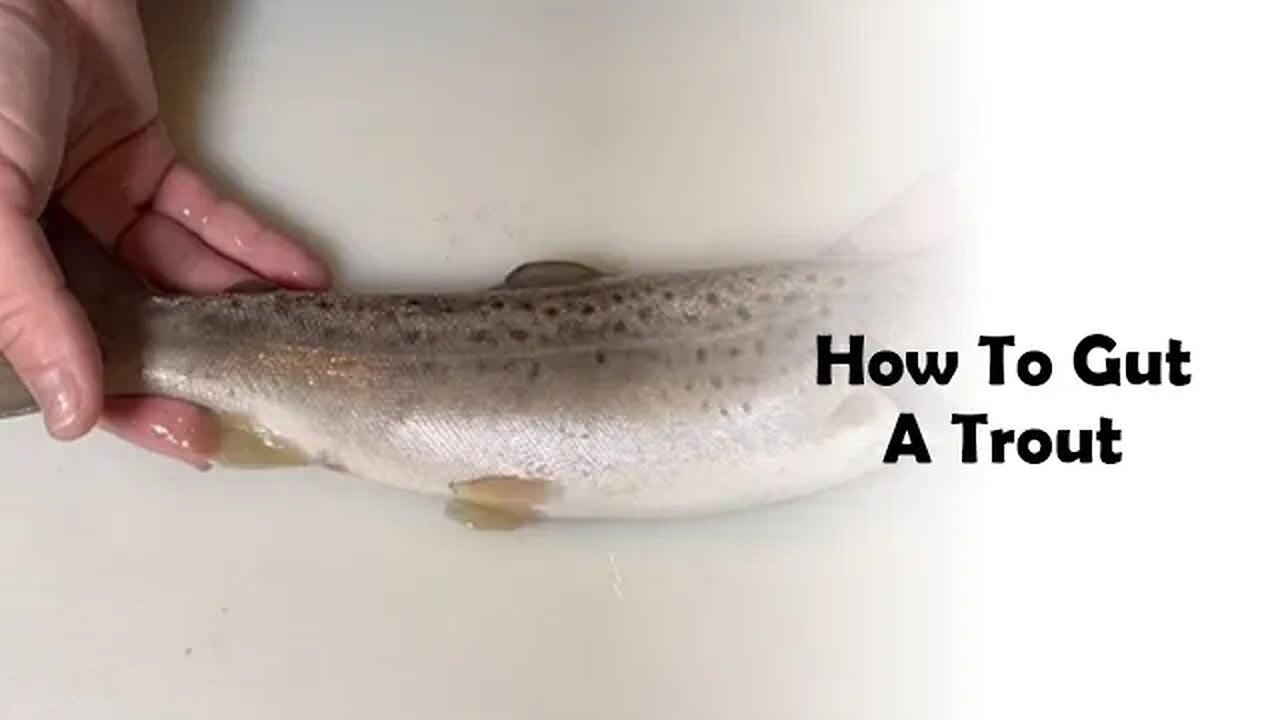 How to Gut a Trout