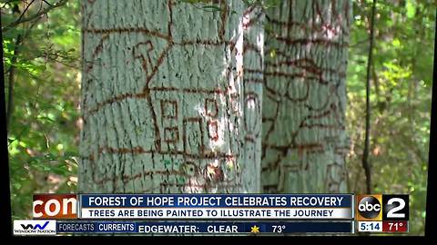 Forest of Hope project aims to shatter the stigma of recovery with deeply personal art project