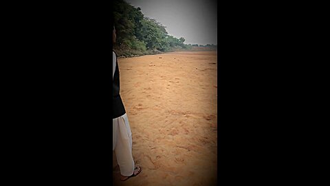 Sher 🔥😎🤟|| Viral Instagram Reels