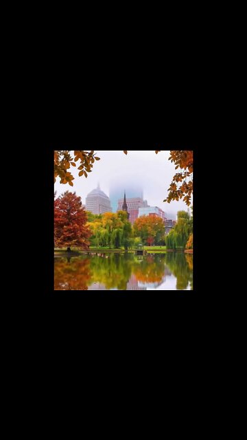 #fall #autumn #autumnleaves #relaxingsoundsforstressrelief #relaxingmusic