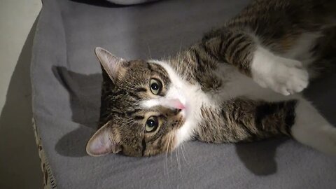 Let Me Hug You, Mom!