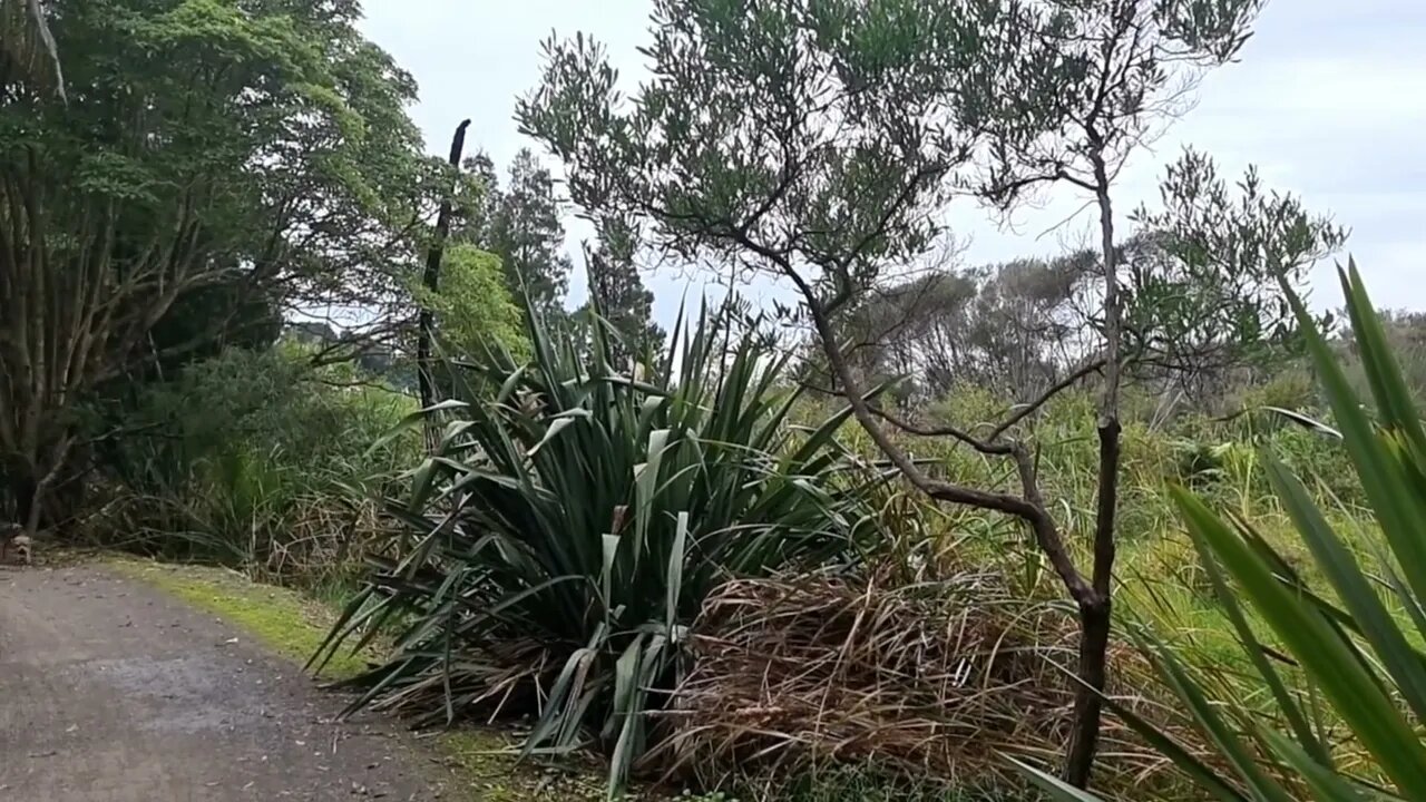 NZWaterways