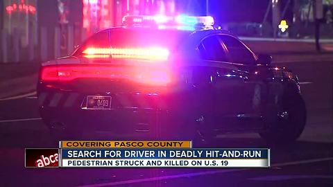 Pedestrian dies in hit-and-run accident on U.S. 19 in Hudson, adding to deadly week