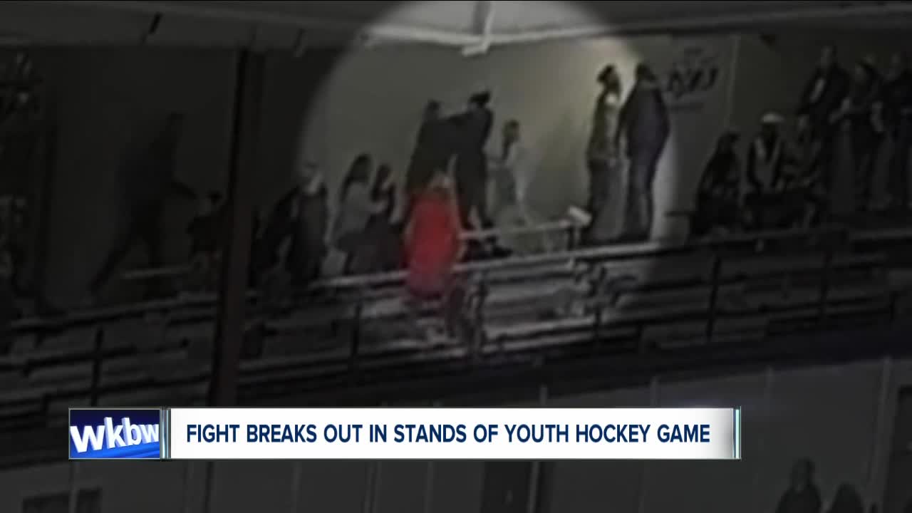 Fight breaks out in stands of youth hockey game, NY division of USA Hockey investigating