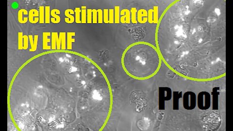 Remote control of heart cells with graphene (no doubts left)