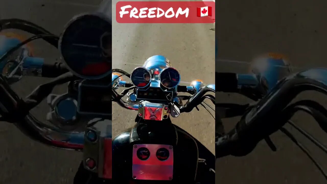 85 Honda Shadow 1100 FREEDOM 🇨🇦