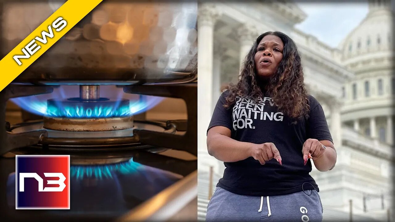 Democrats' Gas Stove Ban: Protecting Air, or Stripping Liberties?