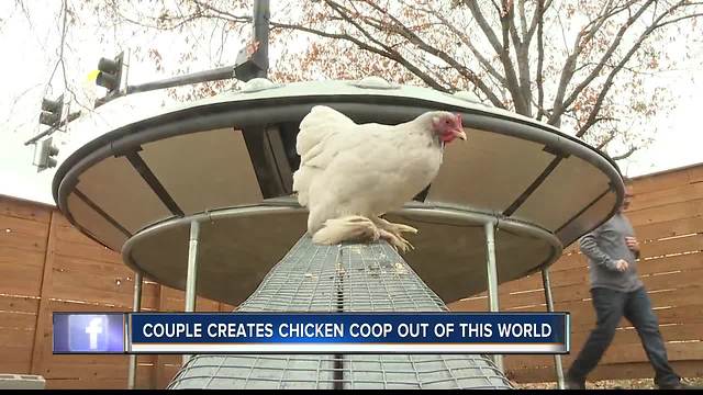 Eggs-traterrestrial coop is out of this world