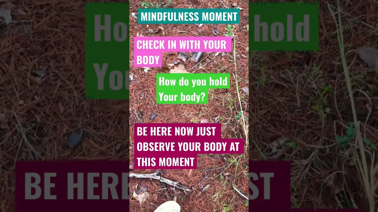 MINDFULNESS MOMENT🕯🚶♂️🚶🚶♀️BE IN YOUR BODY🌊🌊🌊Walk and observe 🕯🌳🌳JUST BE