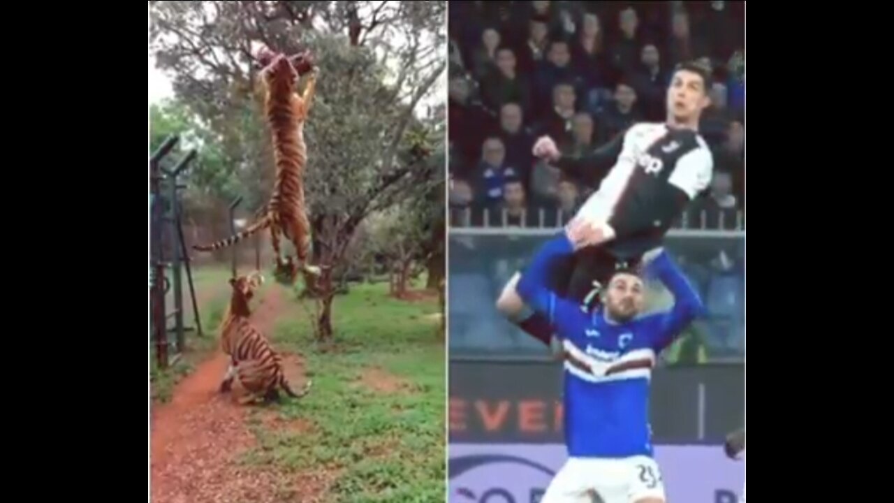 Close enough ❤️ #King