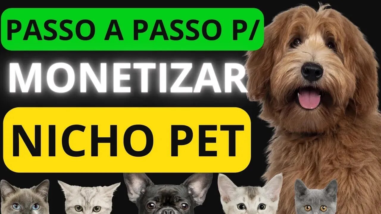 COMO GANHAR DINHEIRO NA INTERNET COM NICHO MILIONÁRIO DE PET PARA CANAL DARK NO YOUTUBE