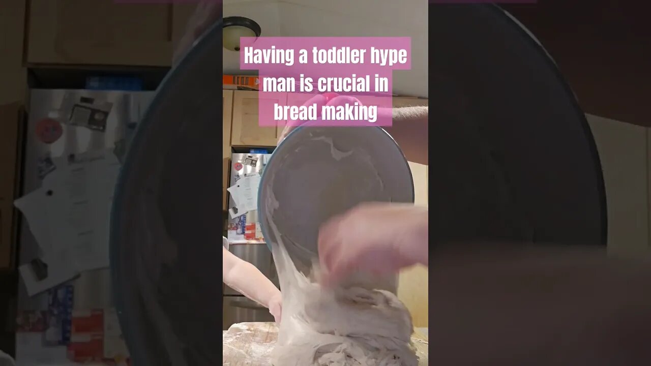 making bread with a toddler #video #homestead #shorts #farm #sourdough #homesteadlife #farmlife