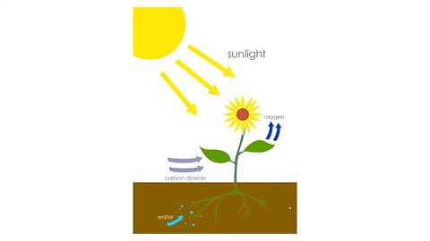 Conservation Of Hysteria