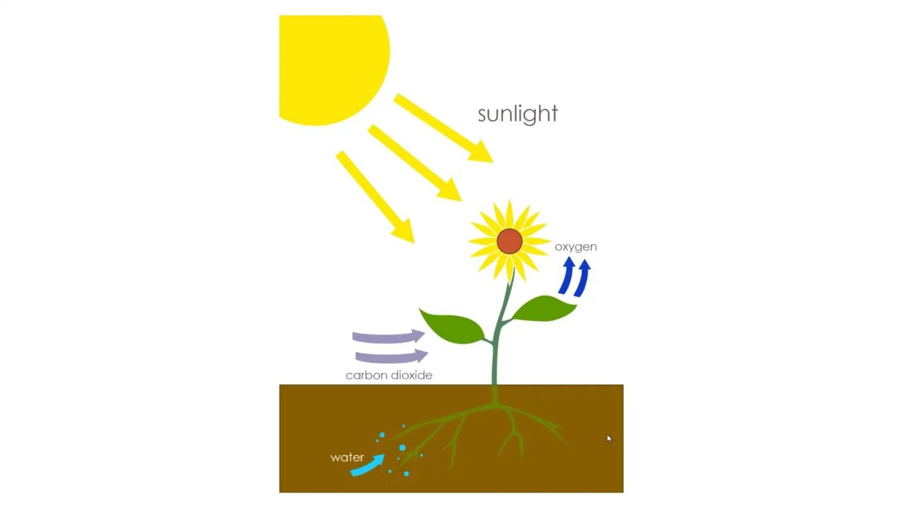 Conservation Of Hysteria