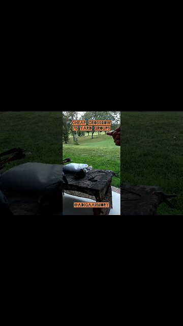 Best cheap compound crossbow? Barnett XP 350 at 75 yards.