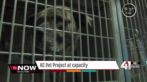 KC Pet Project at capacity
