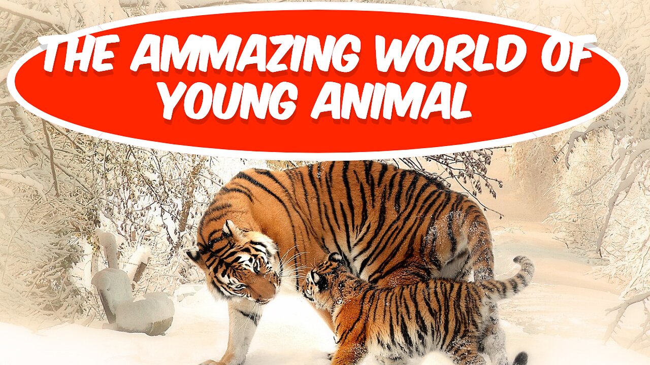 The amazing world of young animal and pets#animals- 100.00%