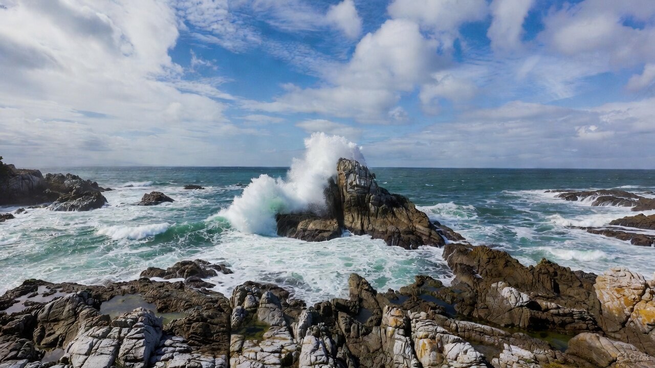 Jade Cove Big Sur: Guide to Collecting Jade and Accessing the Hidden Trail