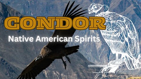 Deep dive into Condor Eagle!